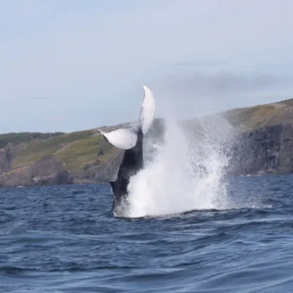 a man riding a wave on top of a body of water