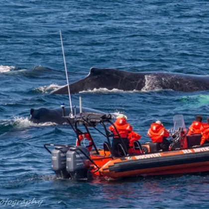 a group of people on a boat in the water