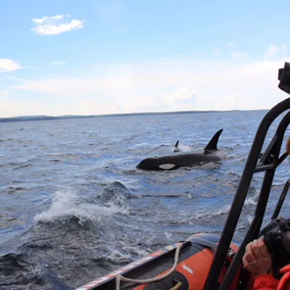 a person sitting in a boat on a body of water