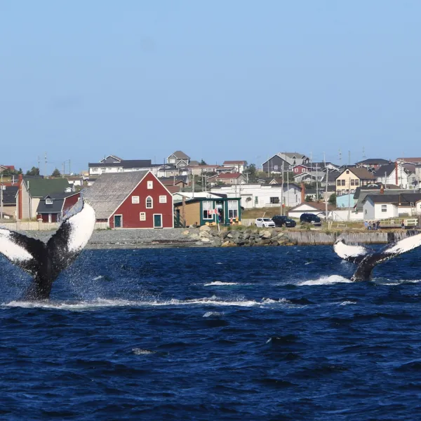 a large ship in a body of water
